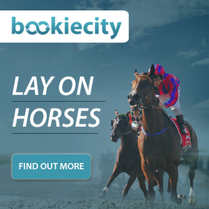 lay on horses bookiecity
