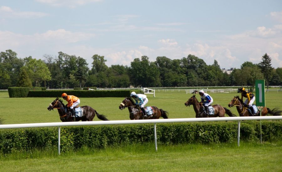 RMG welcomes Fakenham Racecourse to media rights group