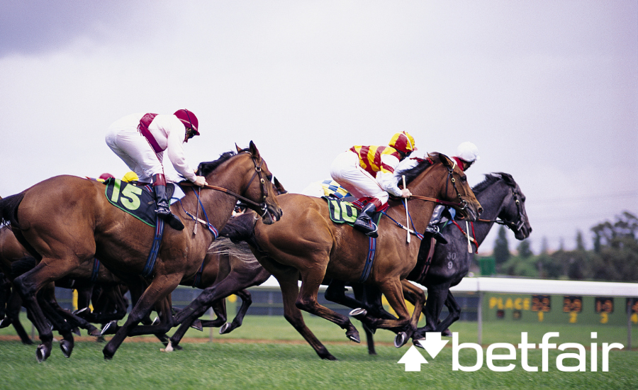How to place lay bets on horse races with BetFair