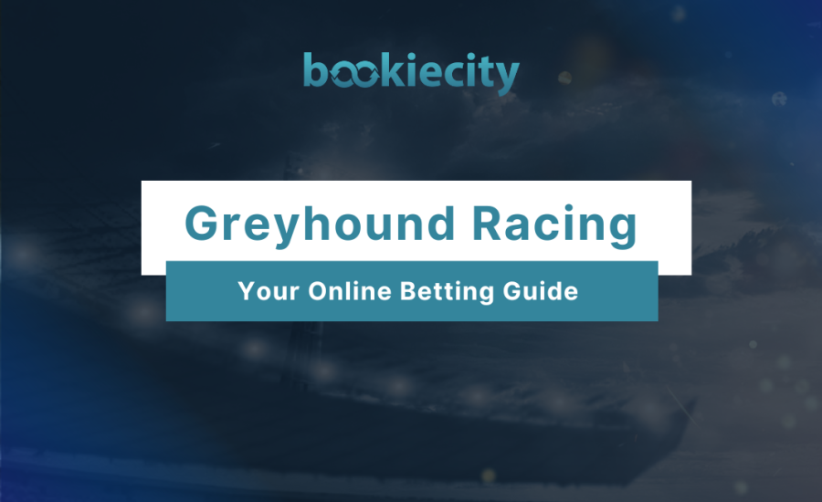 Greyhound Racing– Your Online Betting Guide